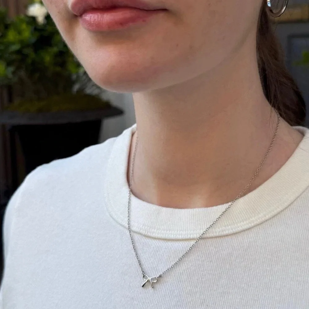 NWT Brandy💖Melville Bow Necklace |Silver - Picture 3 of 7